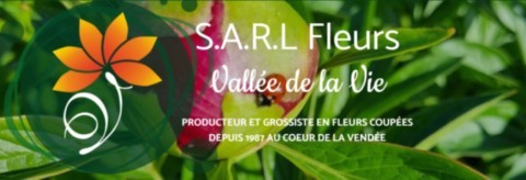 Fleurs de la Vallée de la Vie