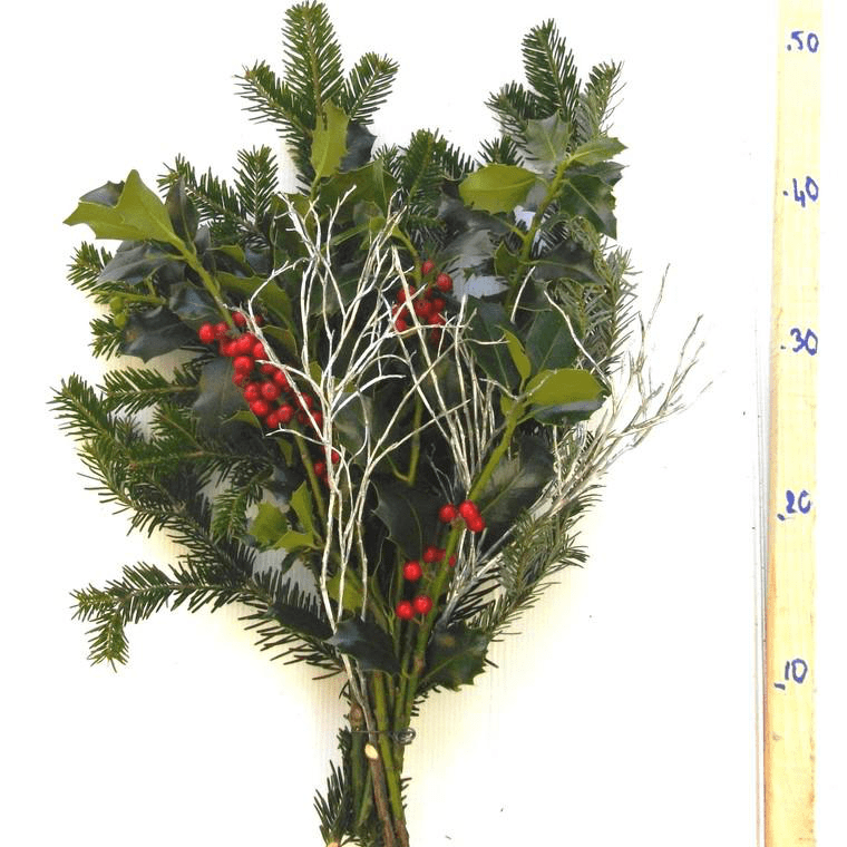 découvrez les différentes utilisations de la branche de houx, de la décoration festive à ses vertus traditionnelles en jardinage et en médecine naturelle.