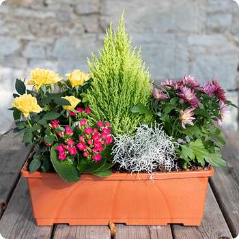 découvrez notre composition florale toussaint élégante, parfaite pour honorer la mémoire de vos proches avec beauté et raffinement.