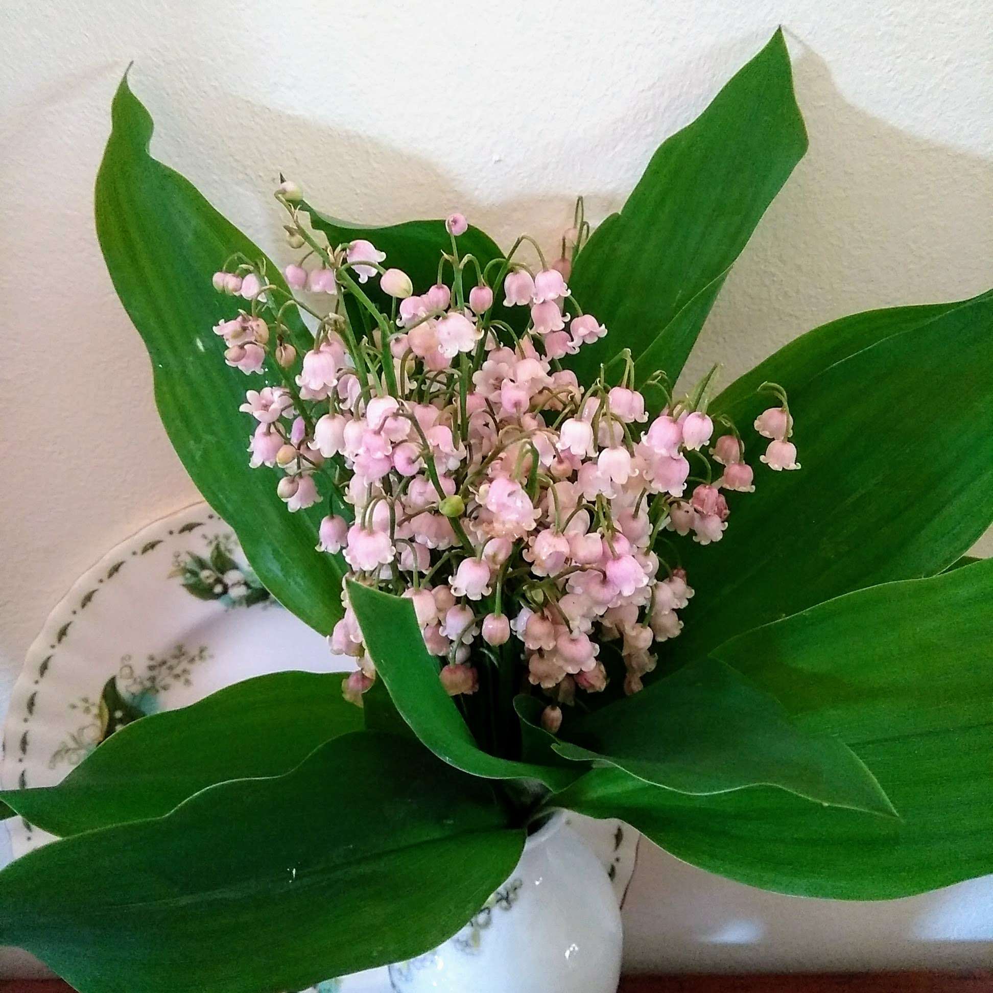 offrez un bouquet de muguet frais pour le 1er mai, symbole de bonheur et de chance. parfait pour célébrer la fête du travail avec élégance et tradition.