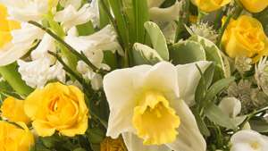 découvrez comment choisir le bouquet parfait pour la fête des mères et des grands-mères, avec des idées florales personnalisées qui feront plaisir à coup sûr.