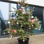 La symbolique du sapin de noël : signification et traditions