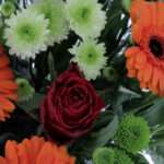 Bouquet de fleurs des champs : comment créer une composition naturelle et colorée