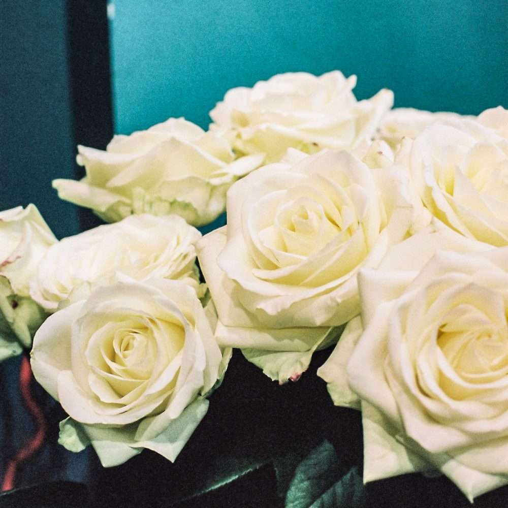 découvrez tous les détails sur le prix rose fleuriste 2026, notre sélection des meilleurs fleuristes et leurs créations exceptionnelles pour cette édition.