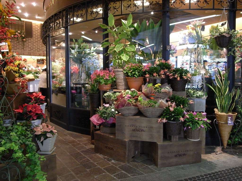 découvrez nos magnifiques fleurs en cristal, alliant élégance et raffinement pour sublimer votre décoration ou offrir un cadeau unique et intemporel.