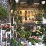 Fleur en cristal : découvrez tout sur cette décoration délicate et élégante