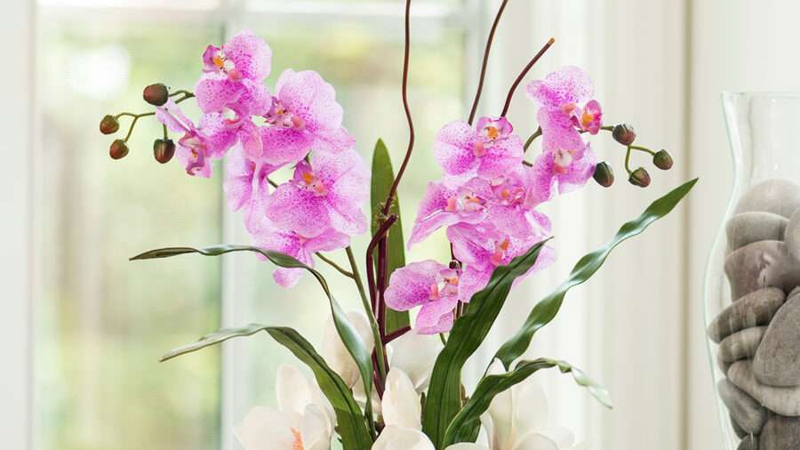 découvrez nos magnifiques compositions de fleurs artificielles, idéales pour décorer votre intérieur avec élégance et sans entretien.
