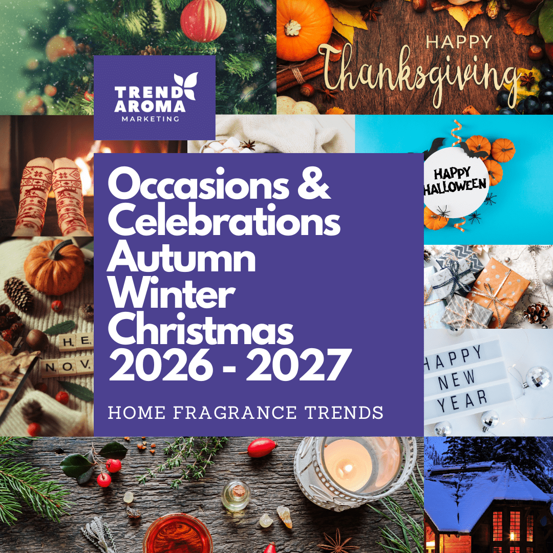 découvrez les prix des jacinthes de noël en et préparez vos décorations festives avec nos conseils d'achat.