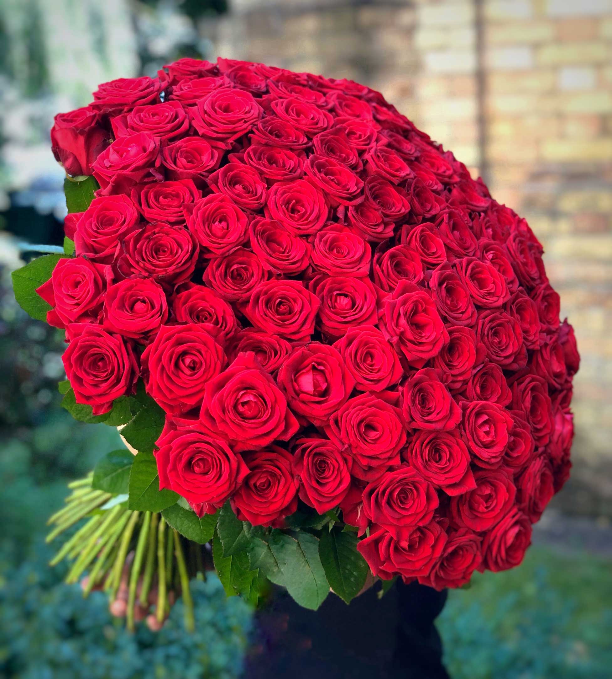 découvrez le prix du bouquet de 100 roses, idéal pour exprimer vos sentiments avec élégance et générosité.