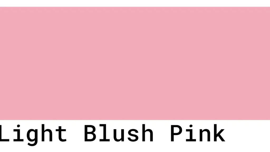 découvrez l'élégance subtile du blush pink, une teinte douce et romantique parfaite pour ajouter une touche de fraîcheur et de délicatesse à votre style.