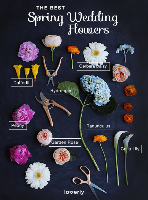 découvrez notre sélection de fleurs de mariage pour avril, des compositions fraîches et élégantes parfaites pour célébrer votre grand jour au printemps.