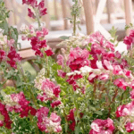 Fleurs de mariage en avril : quels choix privilégier pour votre décoration florale