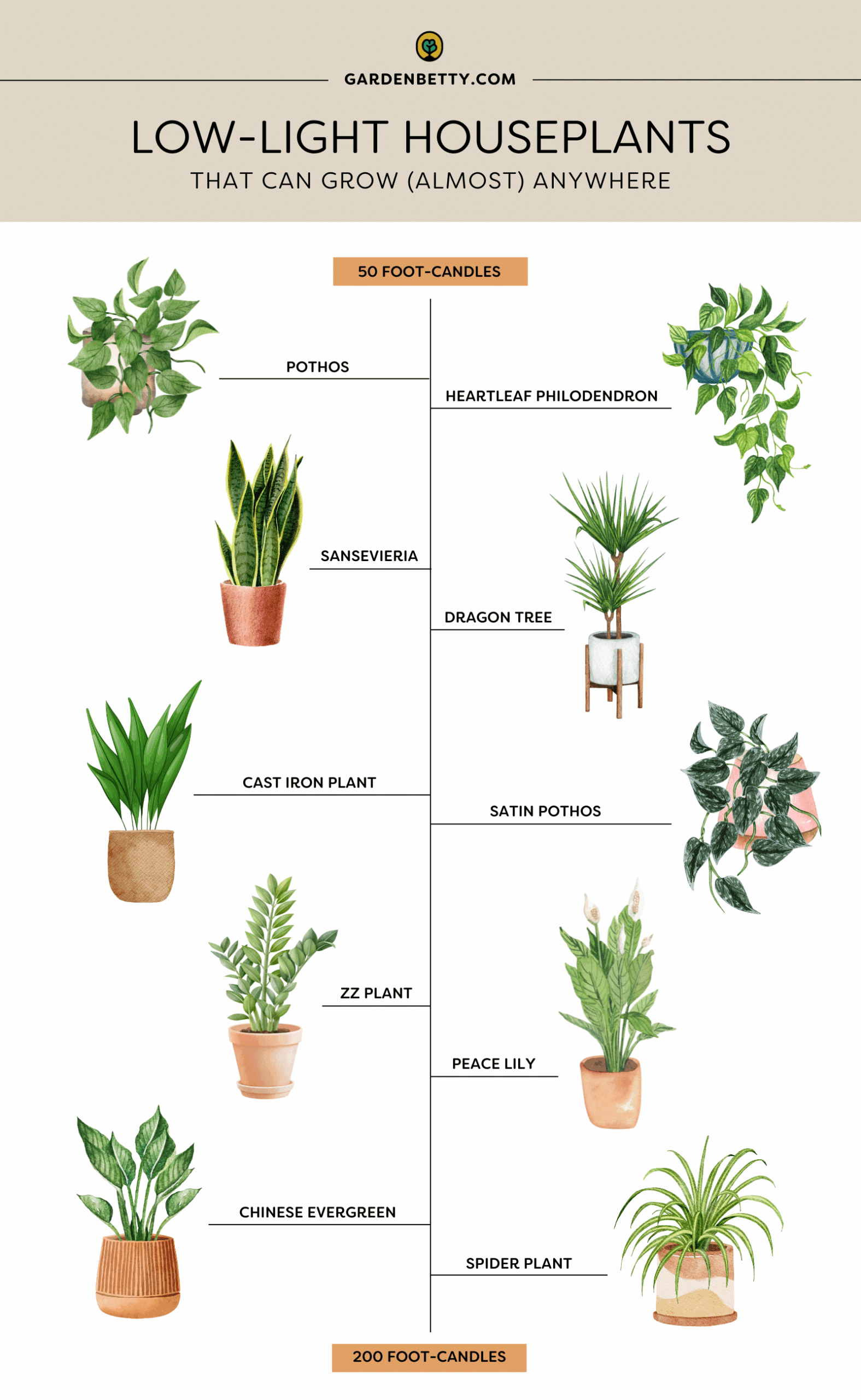 découvrez notre sélection de plantes d'ombre d'intérieur idéales pour illuminer vos espaces peu lumineux tout en purifiant l'air de votre maison.