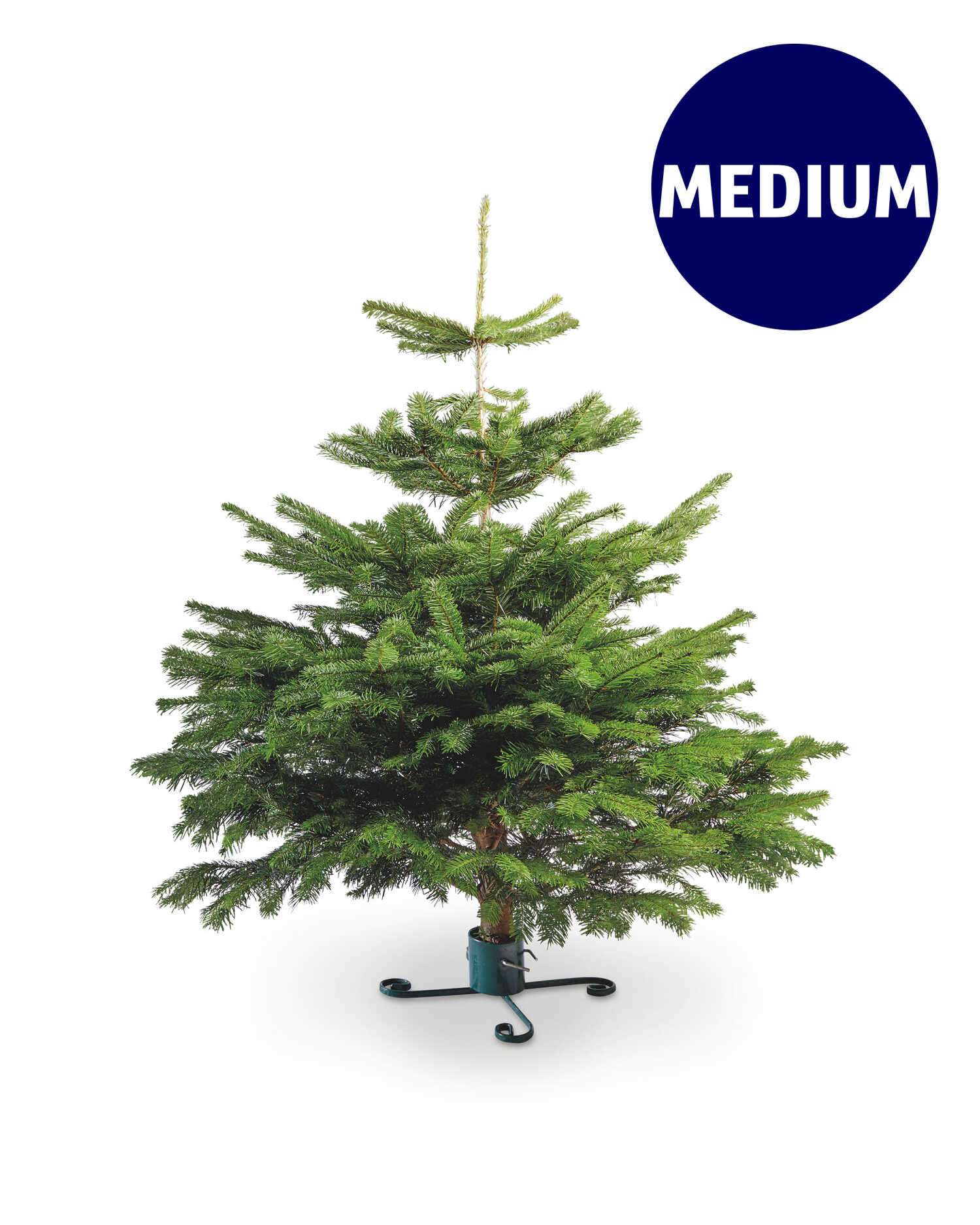 découvrez les prévisions des prix du sapin nordmann pour  et préparez votre achat de noël en toute sérénité.