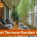 Quels sont les meilleurs plants pour une terrasse en 2026 ?